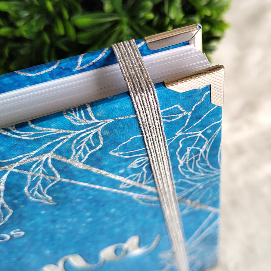 Libro de Firmas XV Años - Azul y Plata