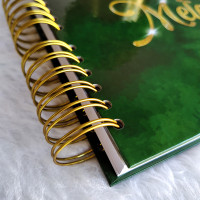 Guestbook - Quince Años - Verde Esmeralda y Dorado